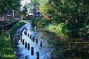 琵琶沼