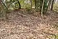 後方部墳頂
