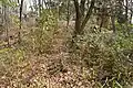 前方部から後方部を望む