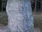 スウェーデン南部に残された6・7世紀頃の石碑