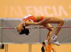 2008年世界室内陸上競技選手権大会