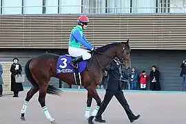 3:ブルーミングスカイ