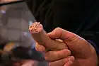 ボックホルスター・クナックヴルスト