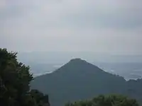 有馬富士