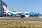 「ジンベエジェット」塗装機（ボーイング737-400）