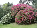ボワ・デ・ムティエ庭園