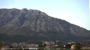 ボネーアの風景