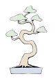 蟠幹