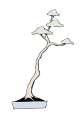 文人木