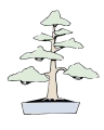 直幹