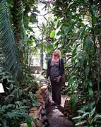植物園の温室でのインテリア ルンド / スウェーデン 2007。