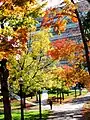 クイーンズ大学（キングストン）