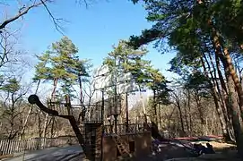 アスレチック冒険コース