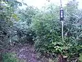 縦走路から豊滝への分岐点