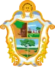 マナウス市の市章