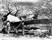 樹木により偽装の施された駐機場で燃料補給作業を行っているF2A-3オアフ島のエワ・ビーチ(英語版)の海兵隊航空基地(Ewa MCAS)にて(1940年の撮影)