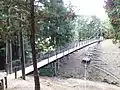 冒険の吊橋