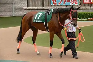 競走馬ブライティアパルス