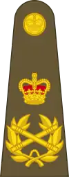 イギリス陸軍元帥の肩章。