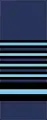 Marshal of the RAF sleeve insignia