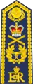 Marshal of the RAF shoulder board