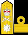 イギリス海軍の代将の袖章および肩章(2004年以降)