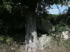 シャントピエールのドルメン
