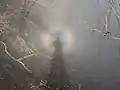 丹沢山地にて撮影