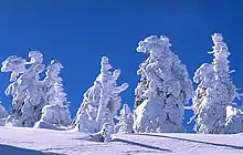 ドイツブロッケン山