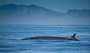 フォルス湾にて