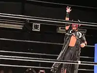 ブラックバファローの画像