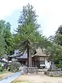 大杉