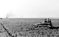 Sd.Kfz. 250/4（1942年、東部戦線）