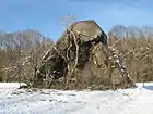 爆破されたトーチカ