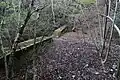 左側の渓流奥の砂防ダムの上流側