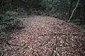 砂留の上にある広場
