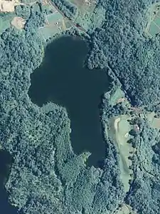 蓮池