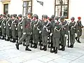 閲兵式に臨む現代のオーストリア陸軍兵士（2004年撮影）