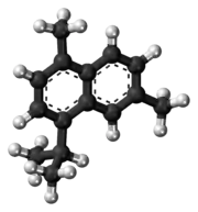 Ball-and-stick model{{{画像alt1}}}