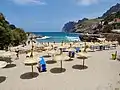 モリンズ海岸