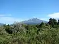 Calbuco viewed from the north alongside Road 225 on the shores of Llanquihue Lake.（11-Feb-2010）