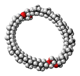 Space-filling model of the caldarchaeol molecule{{{画像alt1}}}