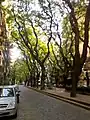 オジェロス・ボウレバルドの閑静な並木道