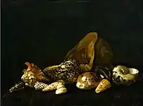 「貝殻」