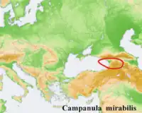 カンパニュラ・ミラビリスの生育地域