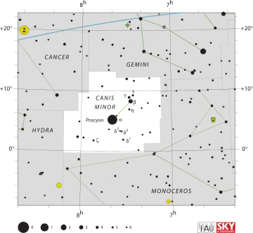 Canis Minor
