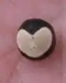 種子