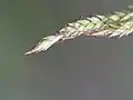 その拡大