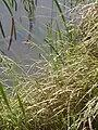 生育環境