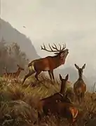 「鹿の群れ」